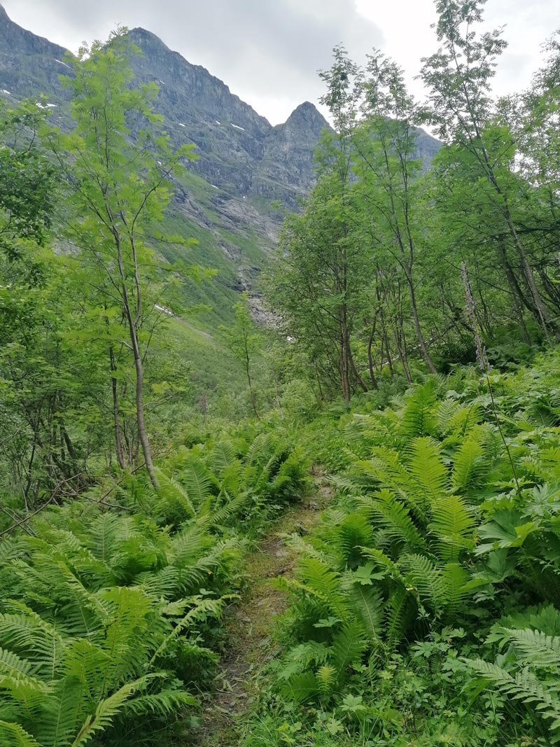 Hike-from-Grovdalen-valley